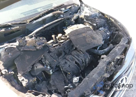 2017 Hyundai Sonata Sport z USA, uszkodzony, nr VIN 5NPE34AF7HH568901